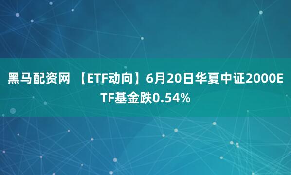 黑马配资网 【ETF动向】6月20日华夏中证2000ETF基金跌0.54%