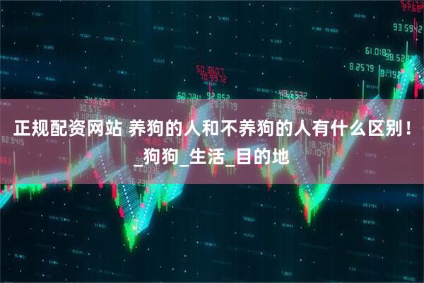 正规配资网站 养狗的人和不养狗的人有什么区别！_狗狗_生活_目的地