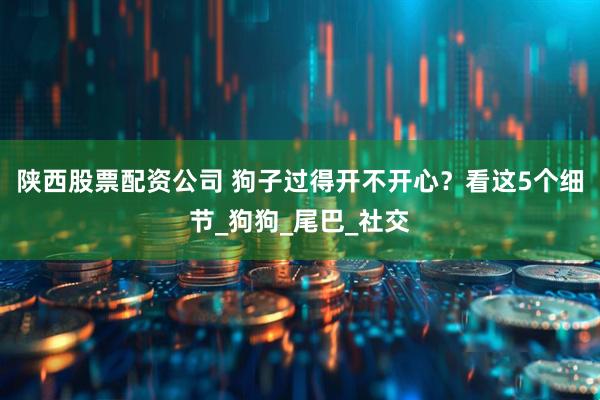 陕西股票配资公司 狗子过得开不开心？看这5个细节_狗狗_尾巴_社交