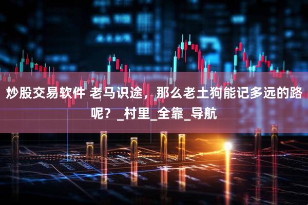 炒股交易软件 老马识途，那么老土狗能记多远的路呢？_村里_全靠_导航