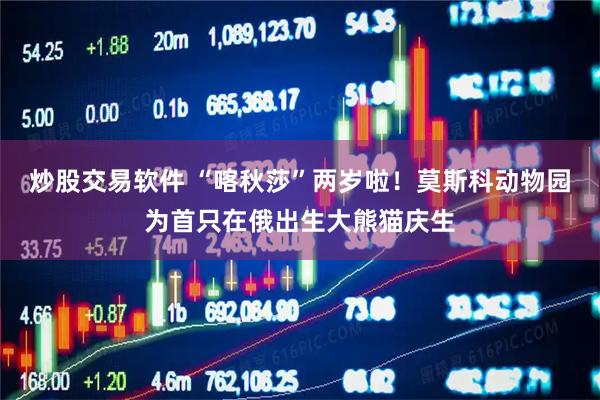 炒股交易软件 “喀秋莎”两岁啦！莫斯科动物园为首只在俄出生大熊猫庆生
