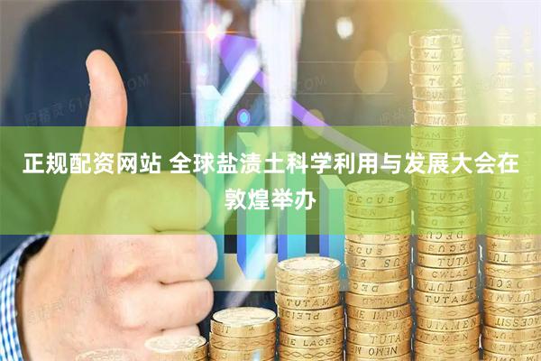 正规配资网站 全球盐渍土科学利用与发展大会在敦煌举办