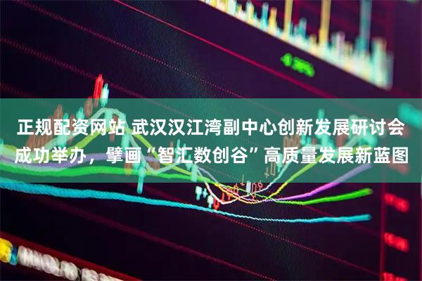 正规配资网站 武汉汉江湾副中心创新发展研讨会成功举办，擘画“智汇数创谷”高质量发展新蓝图