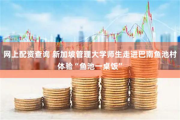 网上配资查询 新加坡管理大学师生走进巴南鱼池村体验“鱼池一桌饭”