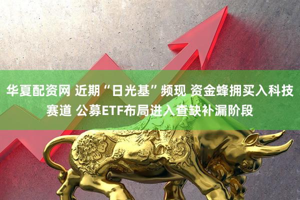 华夏配资网 近期“日光基”频现 资金蜂拥买入科技赛道 公募ETF布局进入查缺补漏阶段